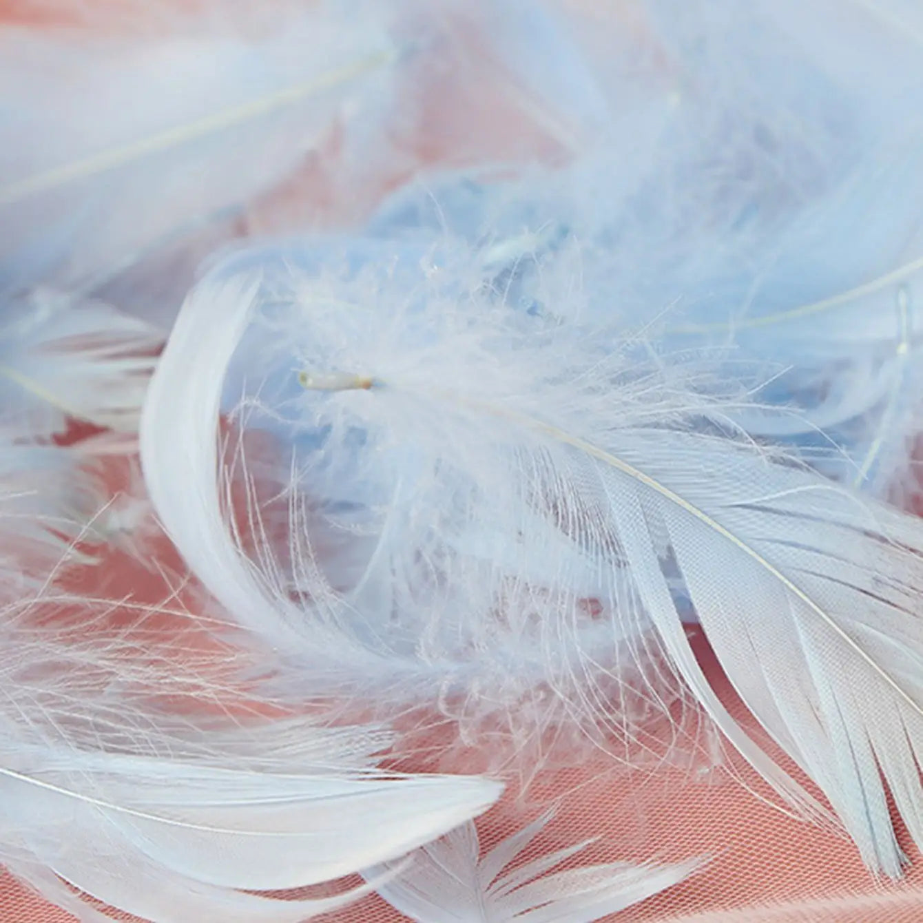 100Pcs Plumas de Colores para Manualidades y Decoración 🪶🎨