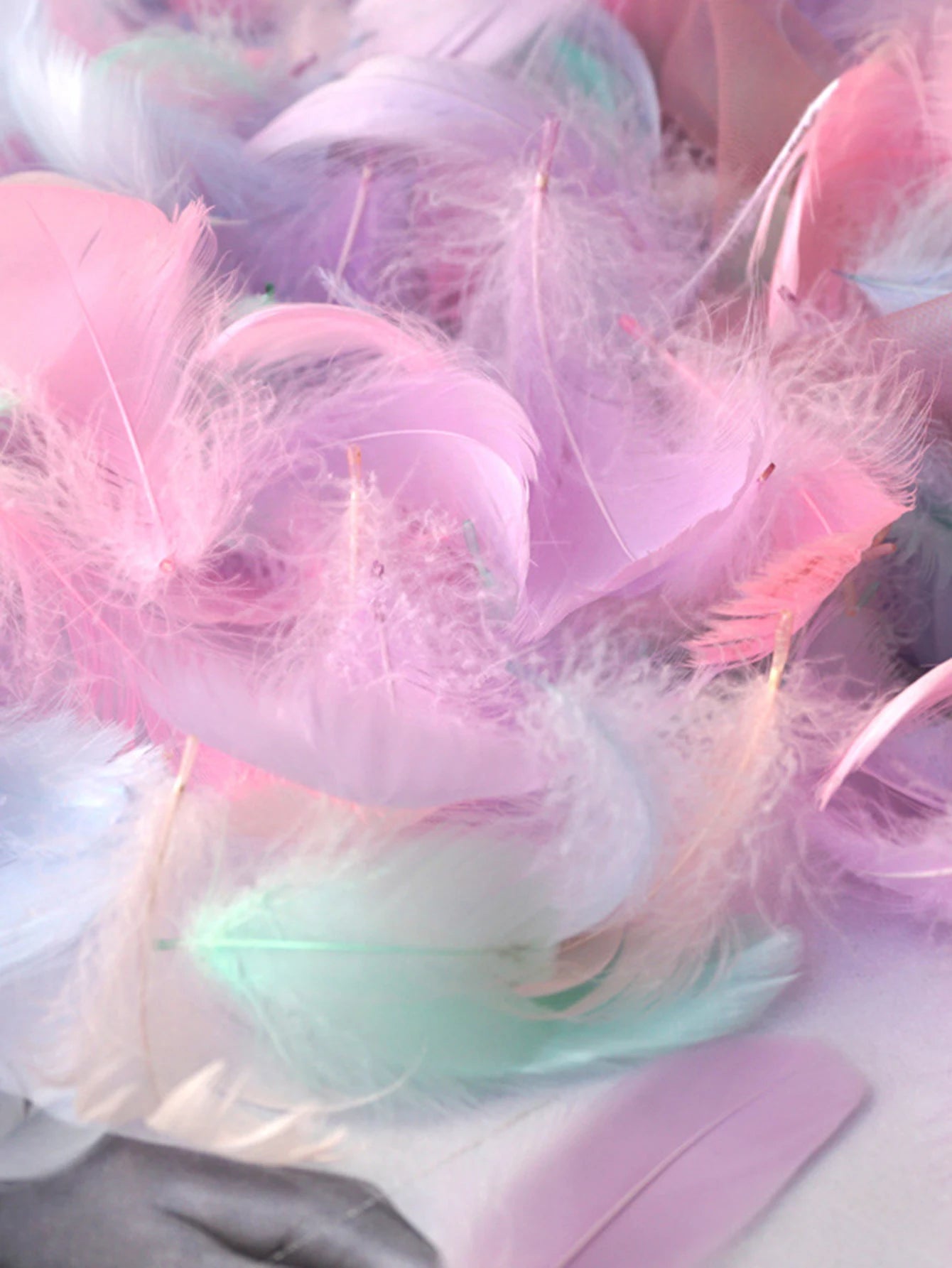 100Pcs Plumas de Colores para Manualidades y Decoración 🪶🎨