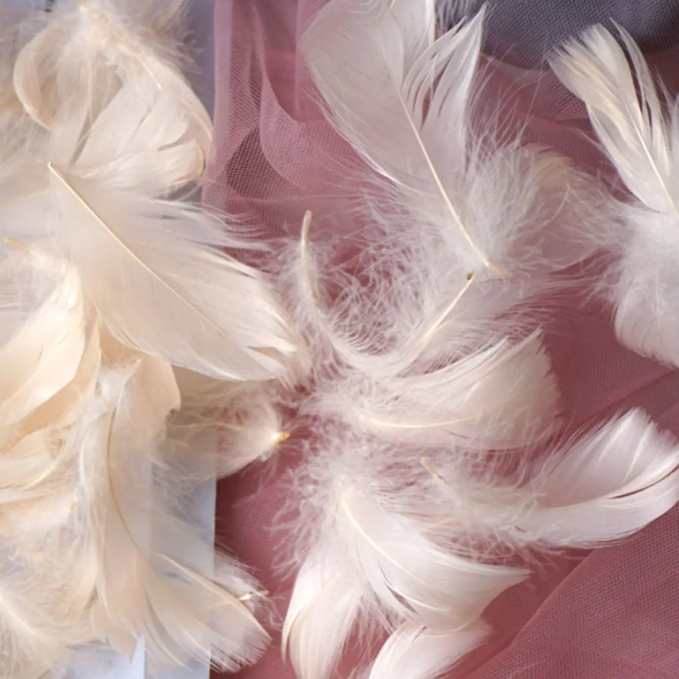 100Pcs Plumas de Colores para Manualidades y Decoración 🪶🎨