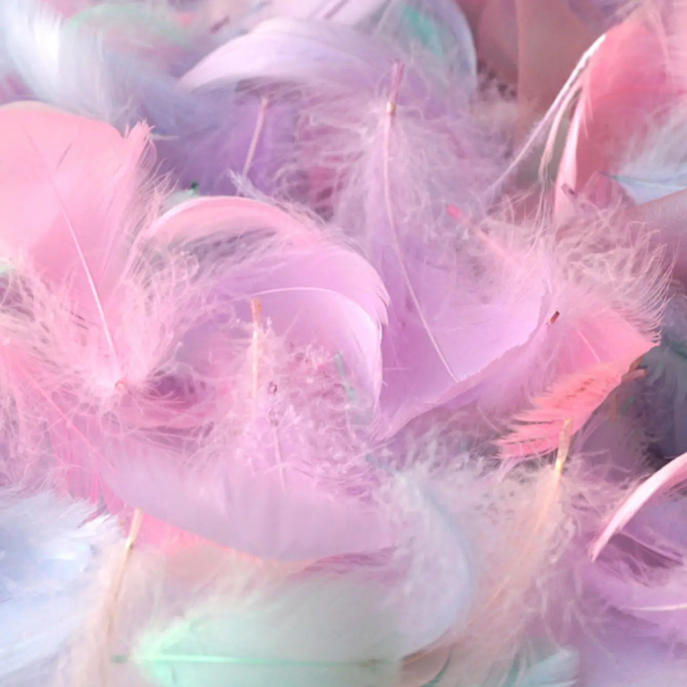 100Pcs Plumas de Colores para Manualidades y Decoración 🪶🎨