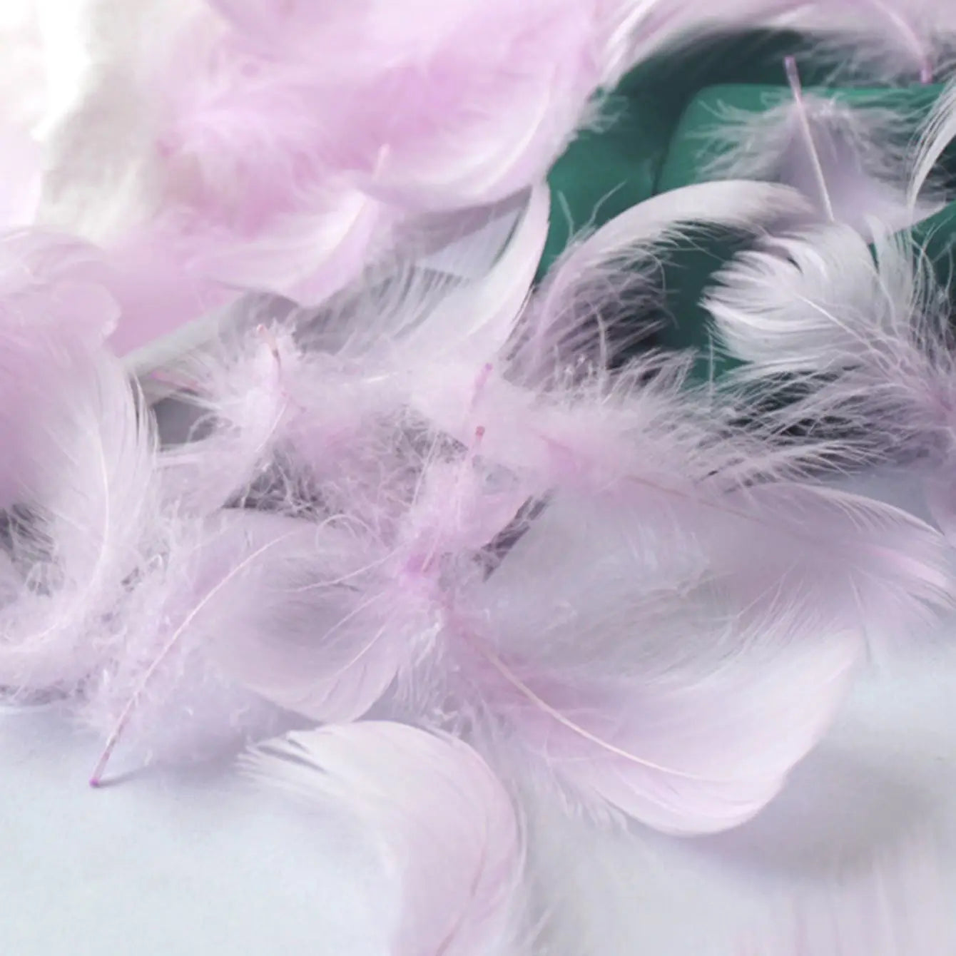 100Pcs Plumas de Colores para Manualidades y Decoración 🪶🎨