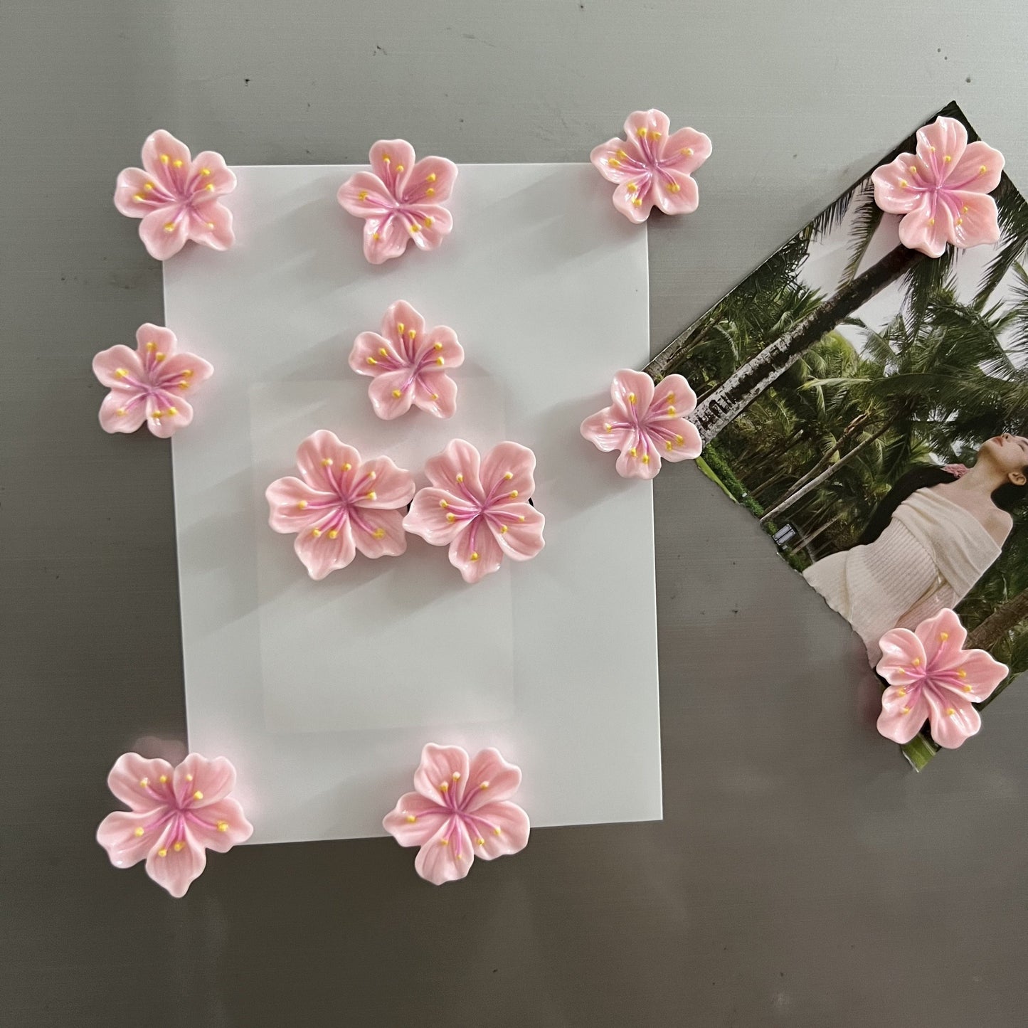 Imanes para nevera flor de Sakura - Rosa 12 Pcs