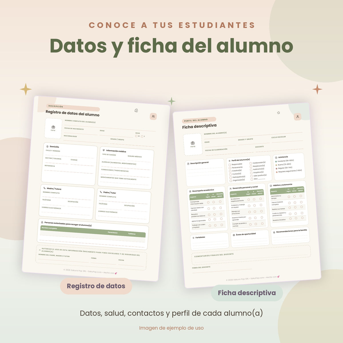 Mi Diario Docente | Agenda y Organizador Escolar PDF Imprimible