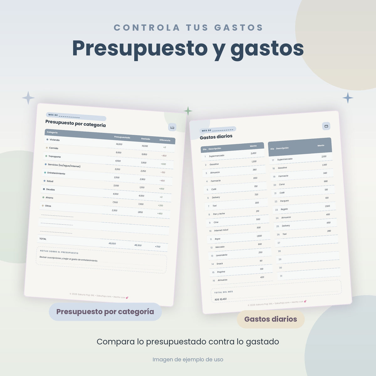 Planificador Financiero | Organiza tu Dinero, Ahorra y Cumple tus Metas PDF