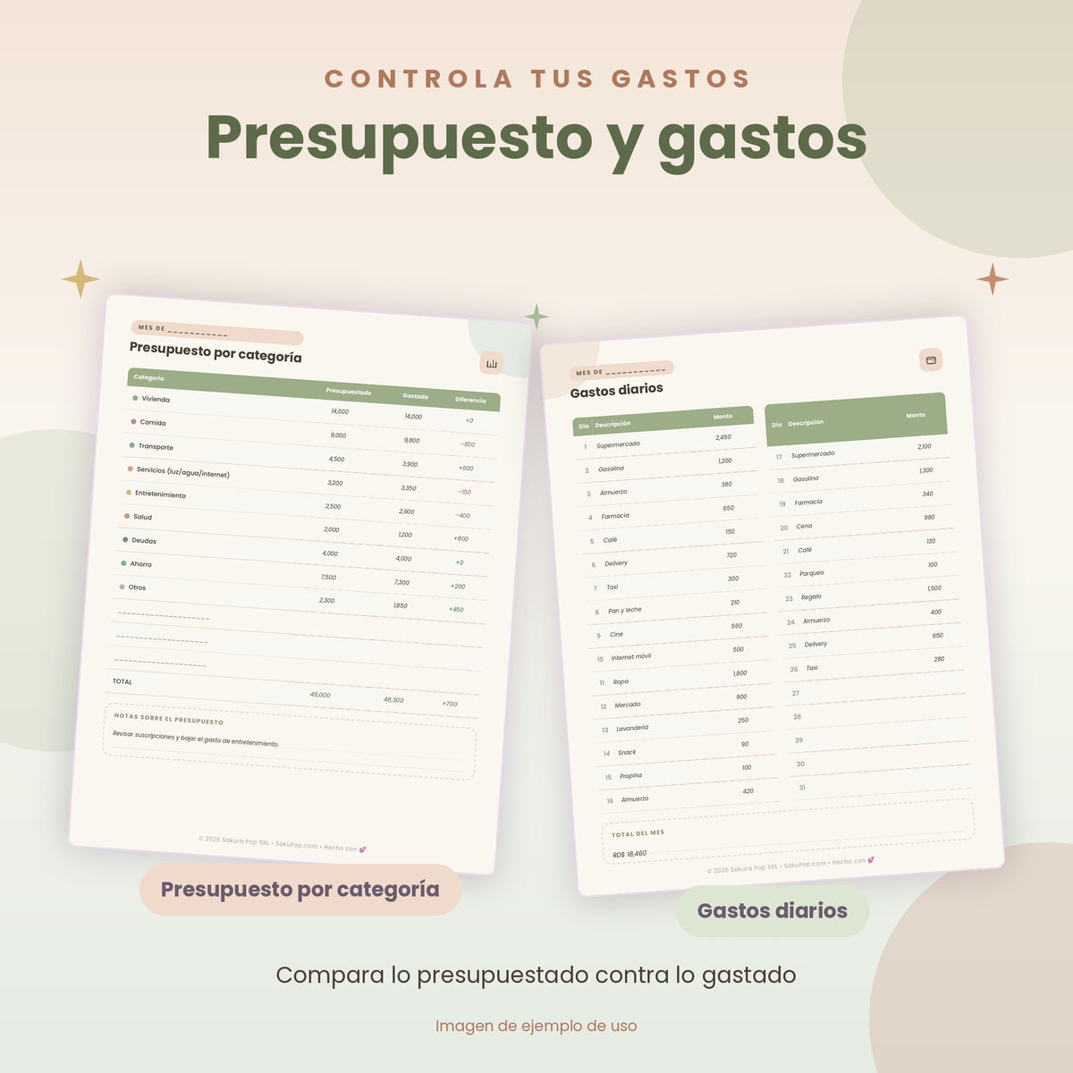 Planificador Financiero | Organiza tu Dinero, Ahorra y Cumple tus Metas PDF