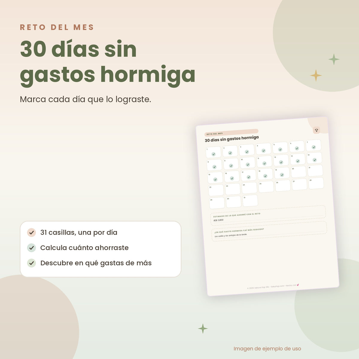 Planificador Financiero | Organiza tu Dinero, Ahorra y Cumple tus Metas PDF