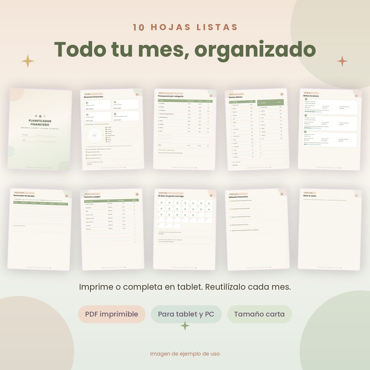 Planificador Financiero | Organiza tu Dinero, Ahorra y Cumple tus Metas PDF