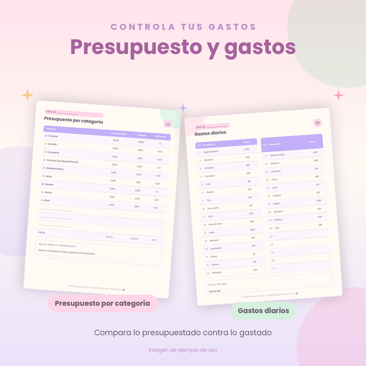 Planificador Financiero | Organiza tu Dinero, Ahorra y Cumple tus Metas PDF